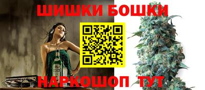 шишки Заводоуковск